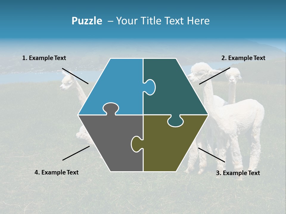 South Farming Lama PowerPoint Template