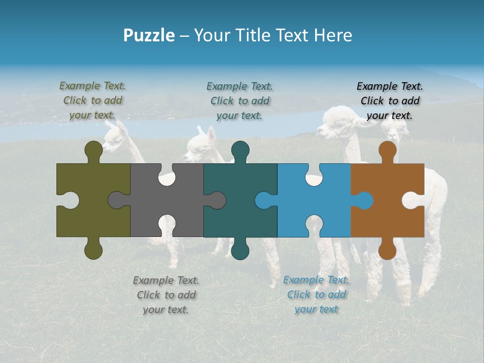 South Farming Lama PowerPoint Template