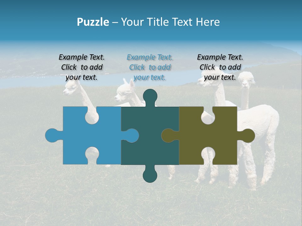 South Farming Lama PowerPoint Template