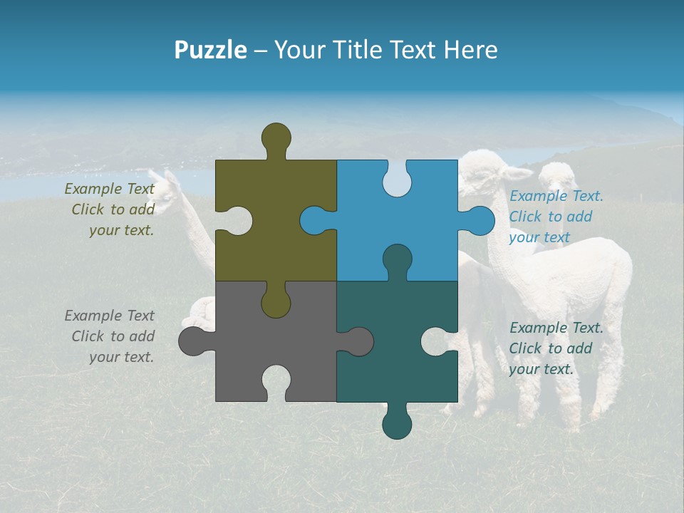 South Farming Lama PowerPoint Template