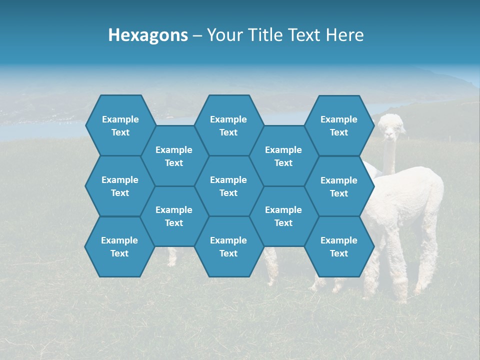 South Farming Lama PowerPoint Template