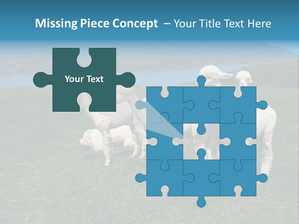 South Farming Lama PowerPoint Template