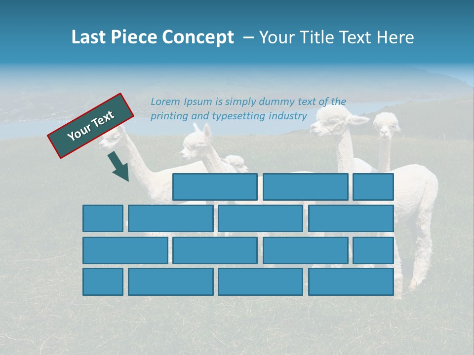 South Farming Lama PowerPoint Template