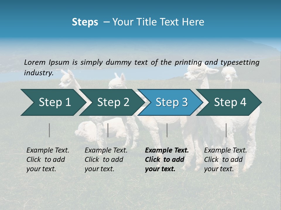 South Farming Lama PowerPoint Template