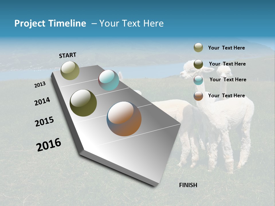 South Farming Lama PowerPoint Template