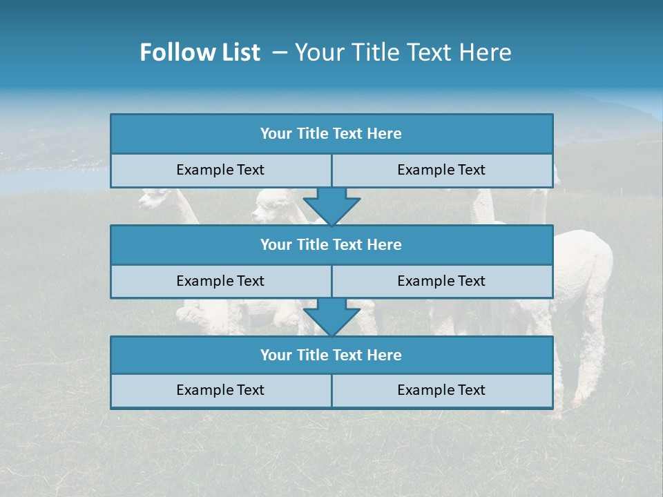South Farming Lama PowerPoint Template