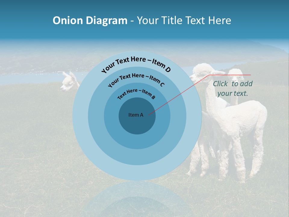 South Farming Lama PowerPoint Template