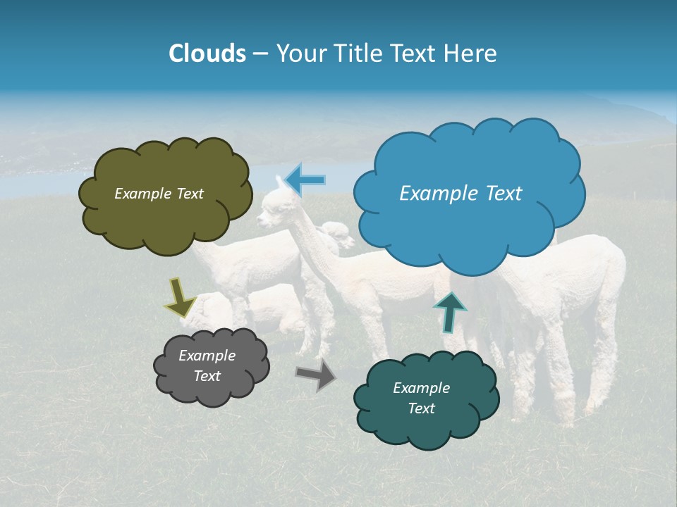 South Farming Lama PowerPoint Template