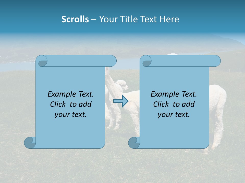 South Farming Lama PowerPoint Template