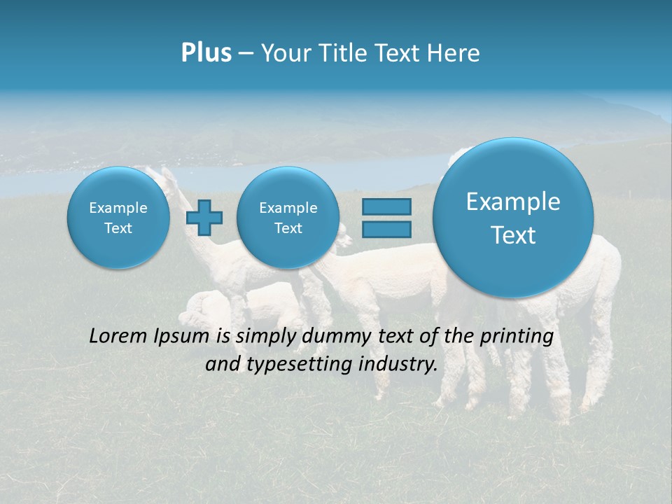 South Farming Lama PowerPoint Template