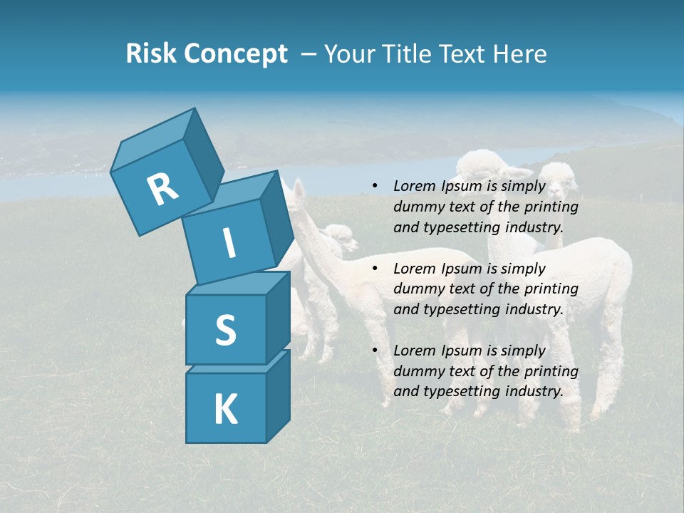 South Farming Lama PowerPoint Template