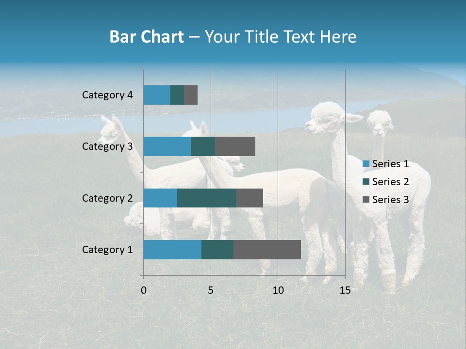South Farming Lama PowerPoint Template