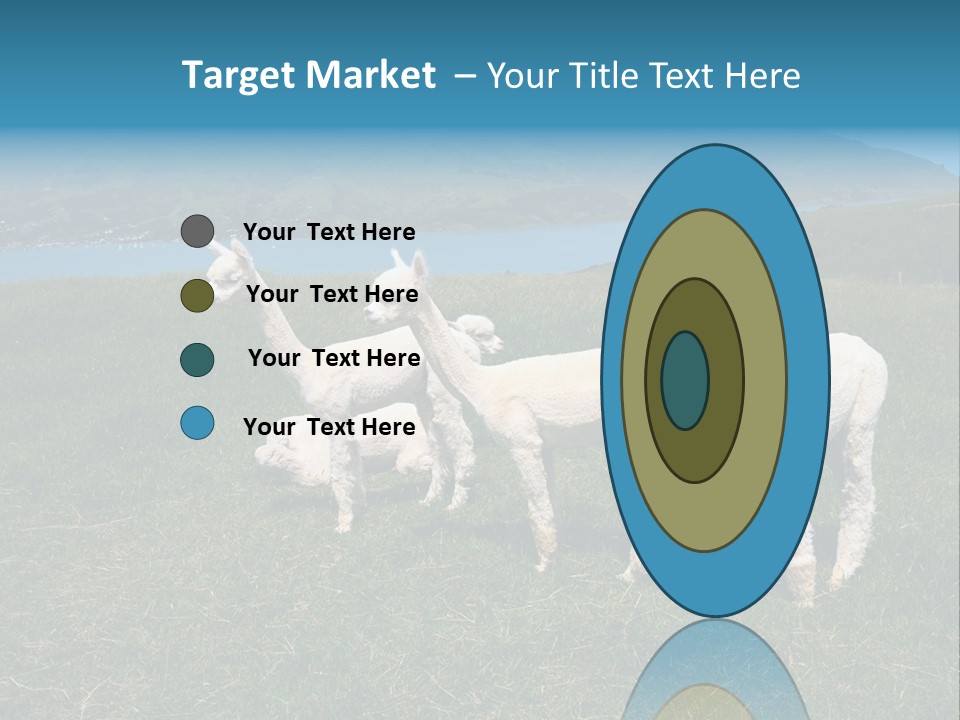 South Farming Lama PowerPoint Template