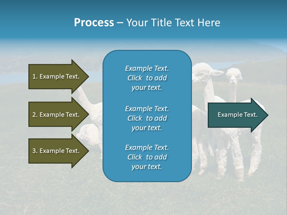 South Farming Lama PowerPoint Template