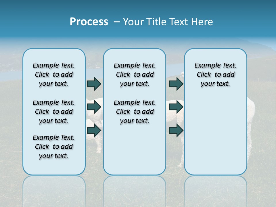 South Farming Lama PowerPoint Template