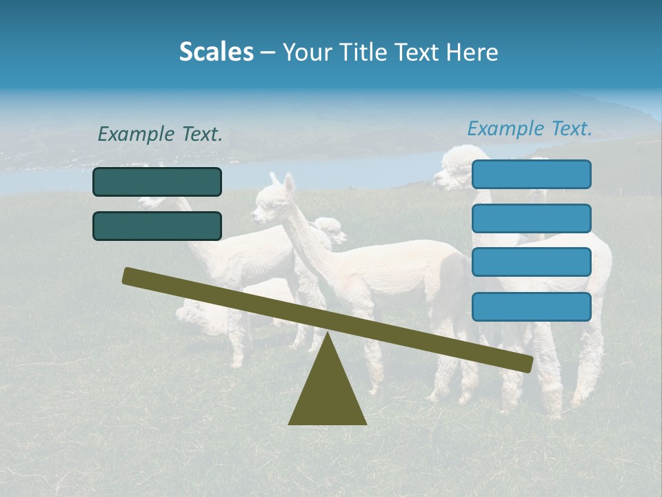 South Farming Lama PowerPoint Template