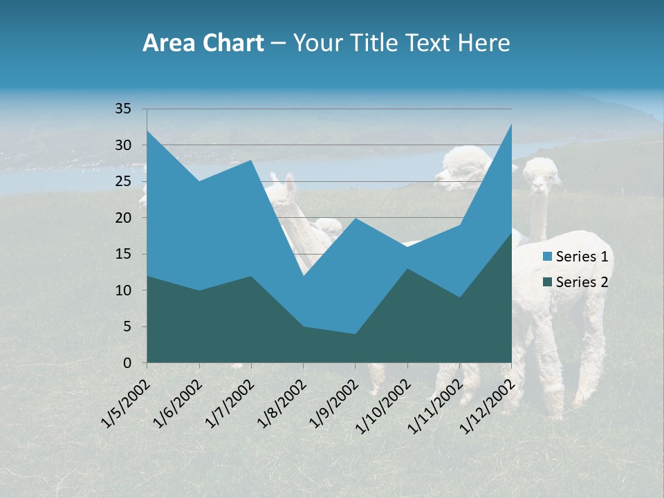 South Farming Lama PowerPoint Template