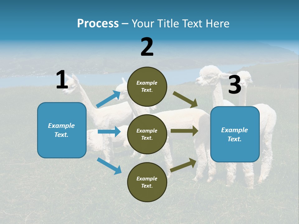 South Farming Lama PowerPoint Template