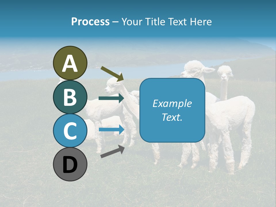 South Farming Lama PowerPoint Template
