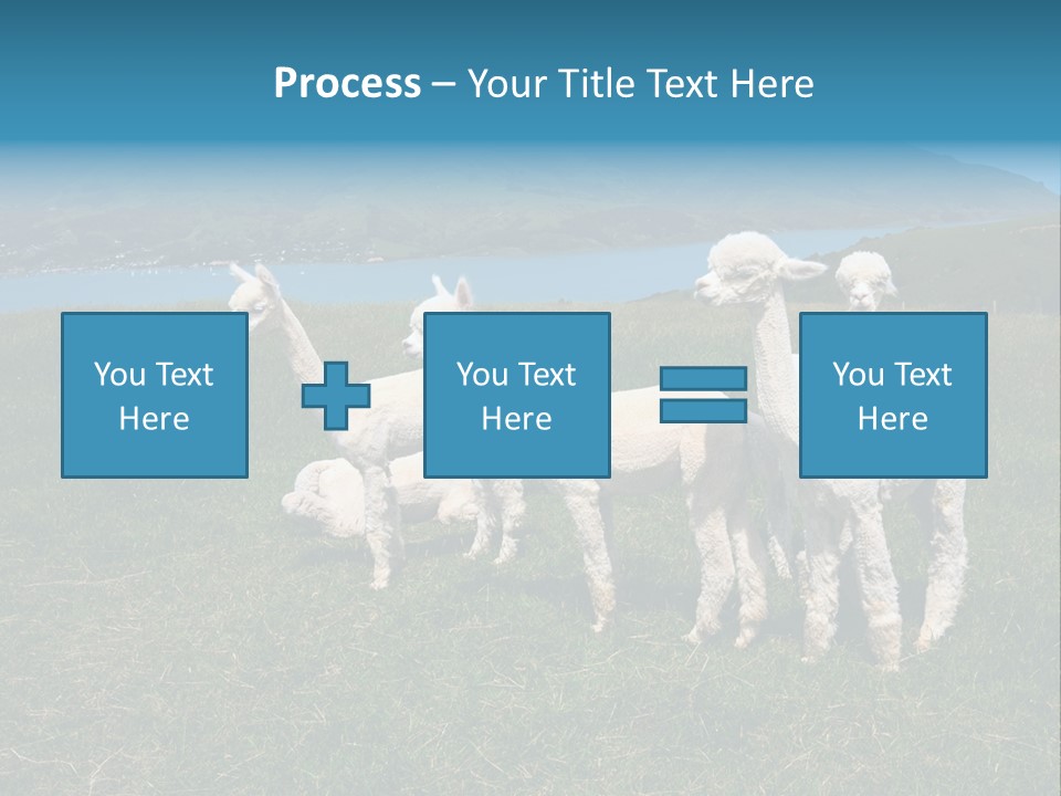 South Farming Lama PowerPoint Template