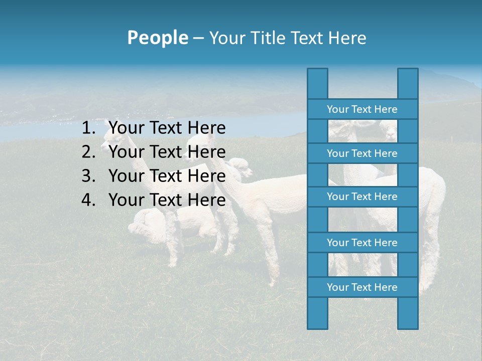 South Farming Lama PowerPoint Template