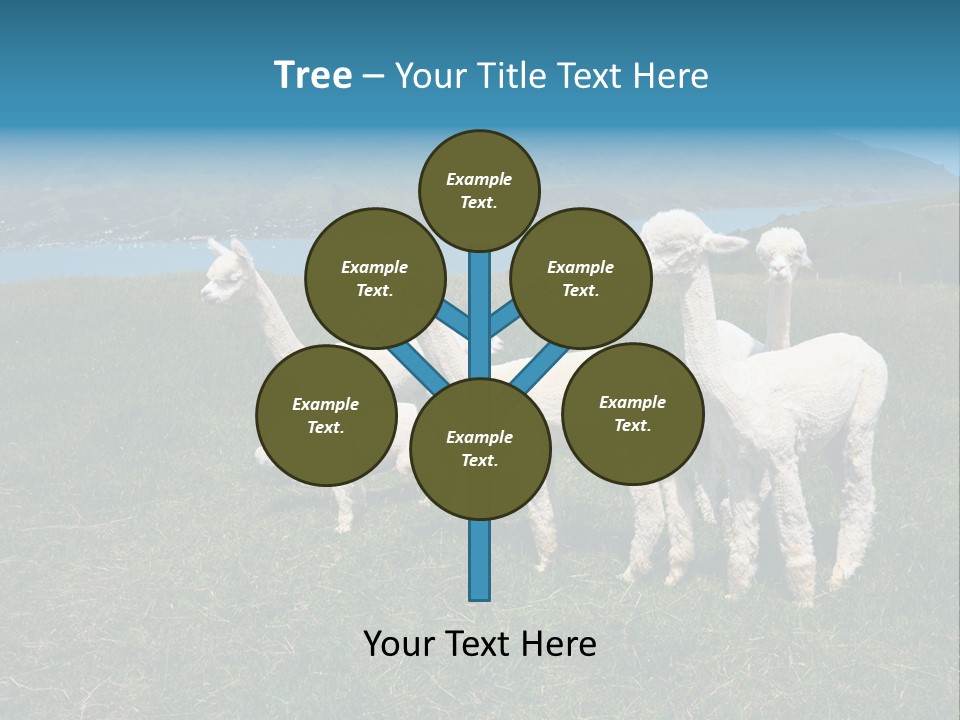 South Farming Lama PowerPoint Template