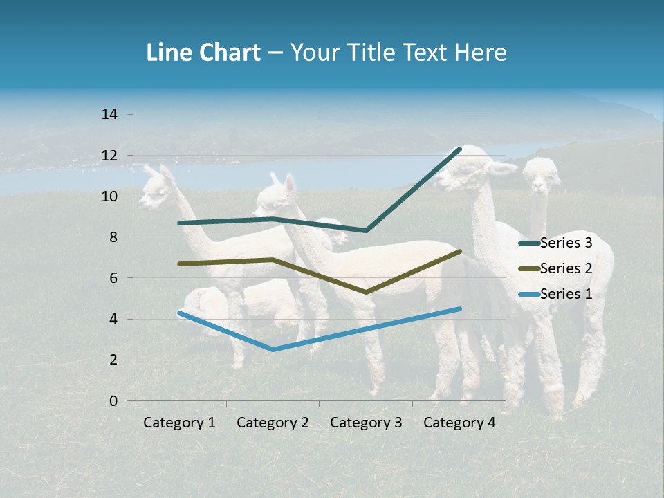 South Farming Lama PowerPoint Template