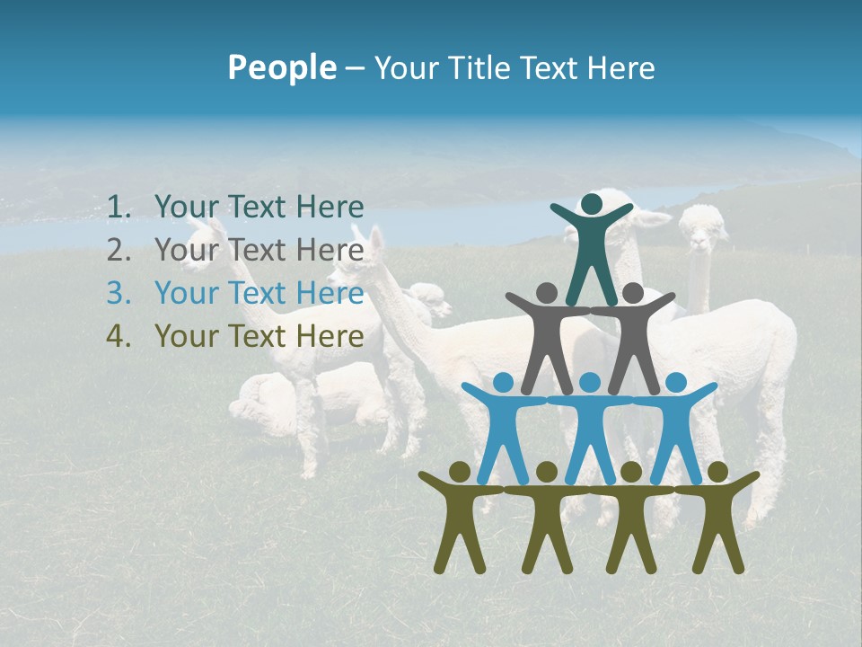 South Farming Lama PowerPoint Template