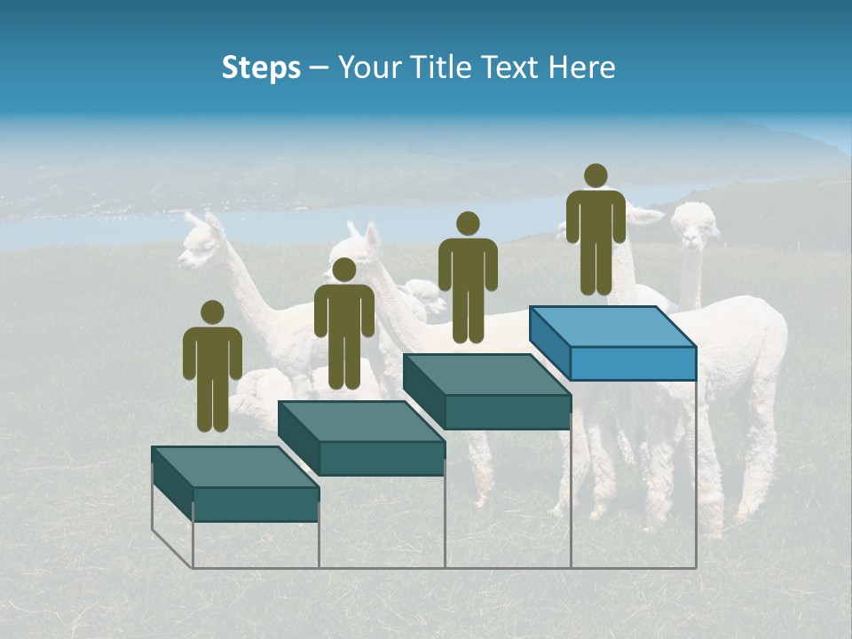 South Farming Lama PowerPoint Template