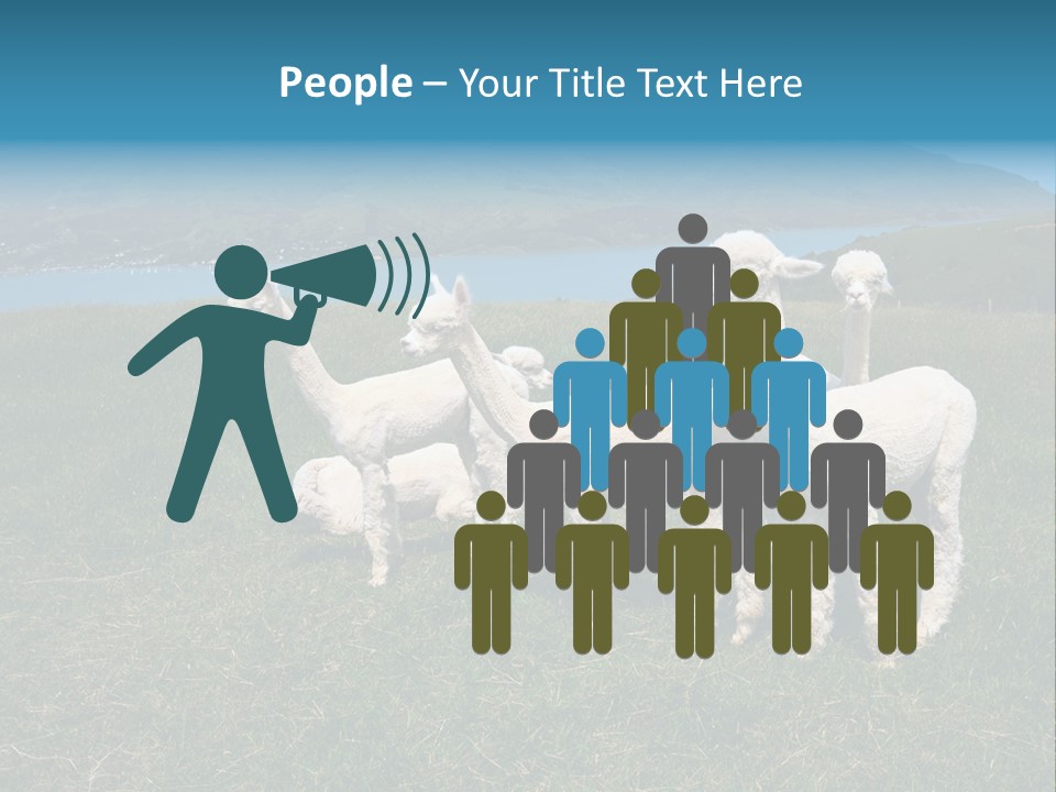 South Farming Lama PowerPoint Template