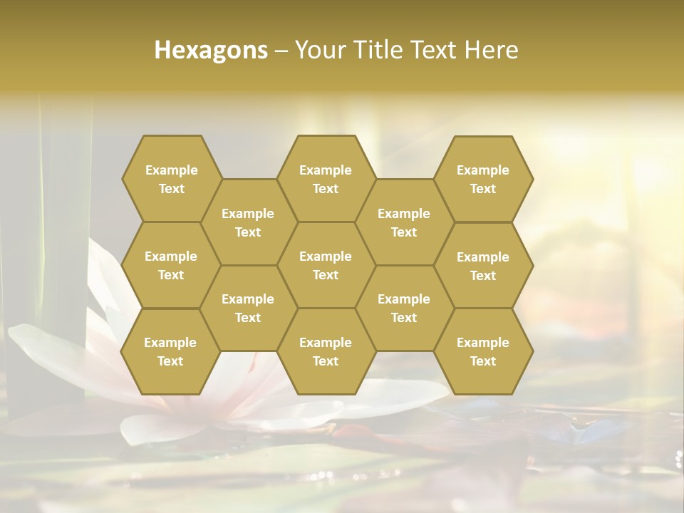 Lily Background Bloom PowerPoint Template