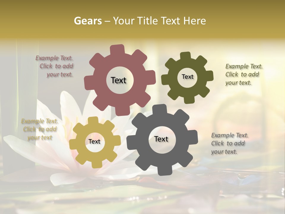 Lily Background Bloom PowerPoint Template