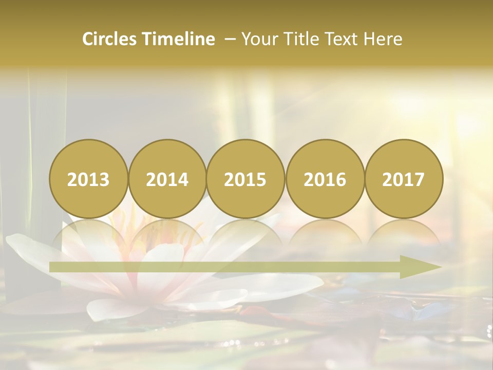 Lily Background Bloom PowerPoint Template