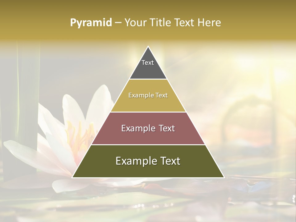 Lily Background Bloom PowerPoint Template