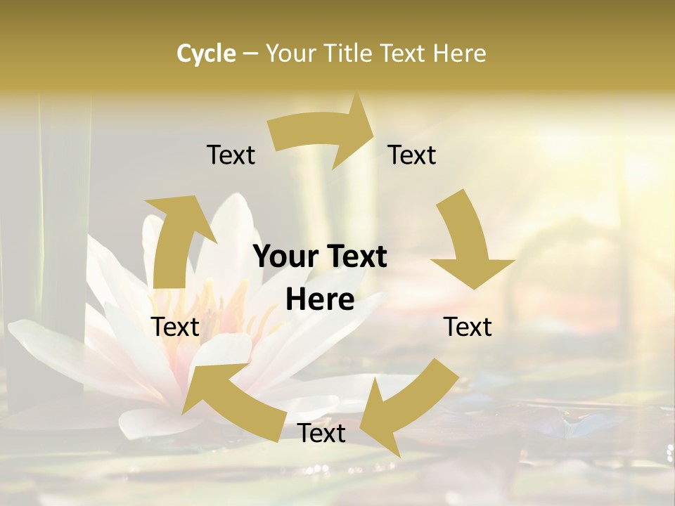 Lily Background Bloom PowerPoint Template