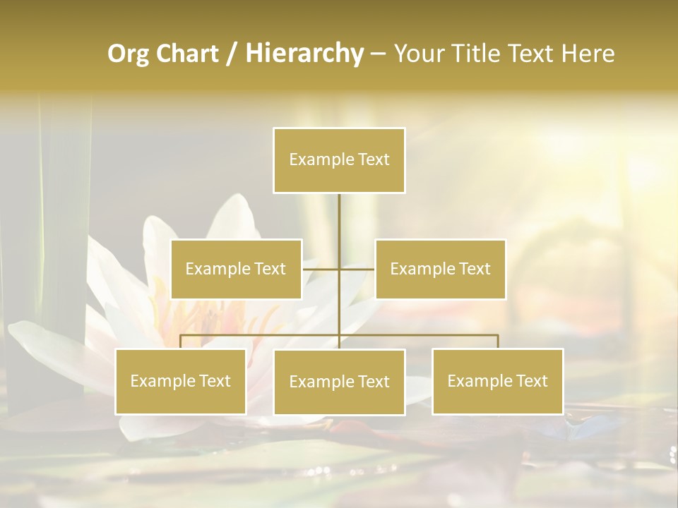 Lily Background Bloom PowerPoint Template