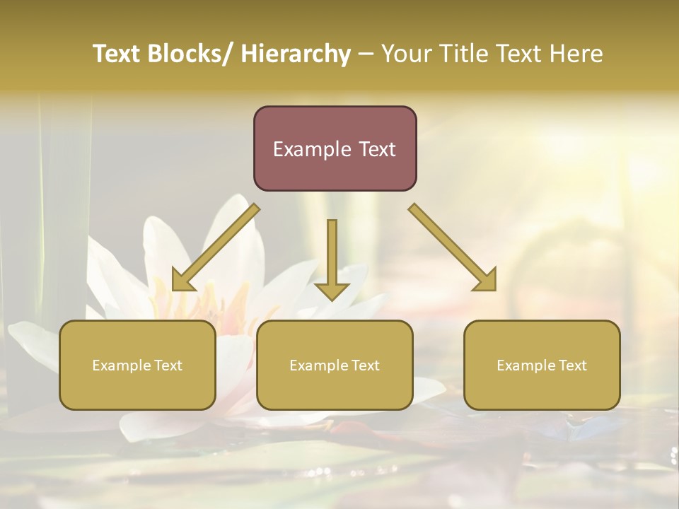 Lily Background Bloom PowerPoint Template