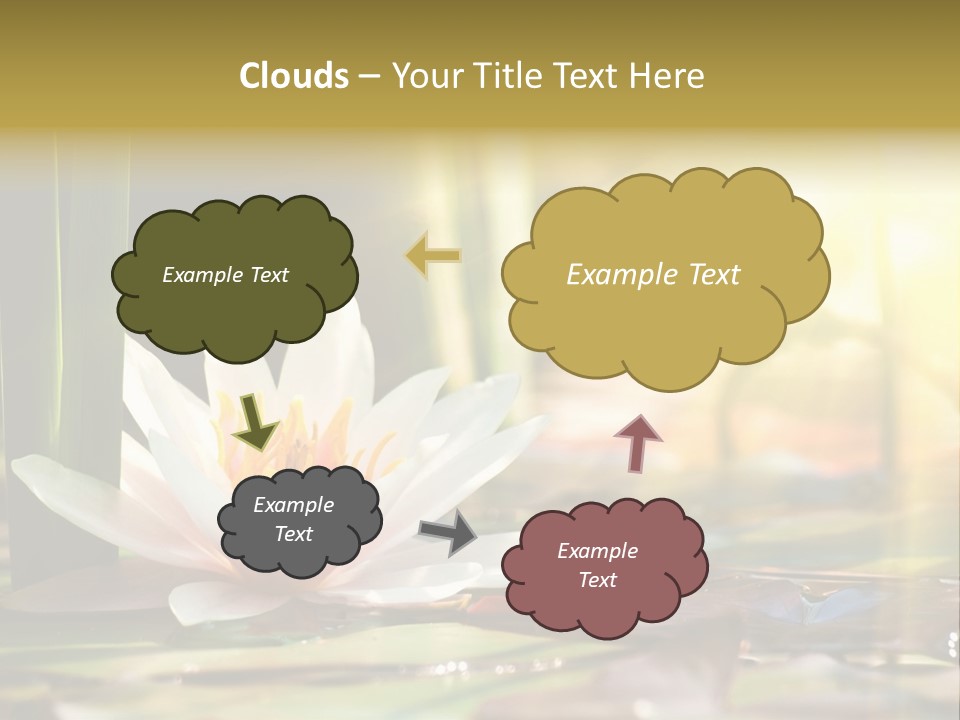 Lily Background Bloom PowerPoint Template