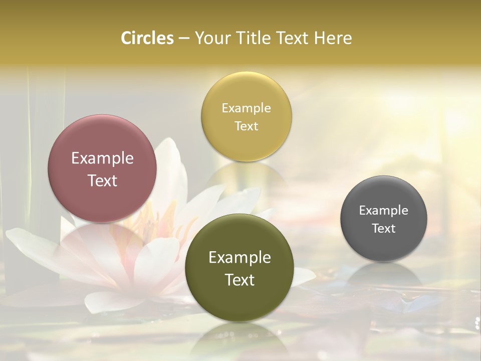 Lily Background Bloom PowerPoint Template