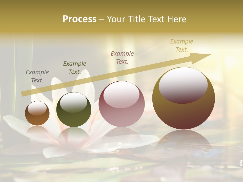 Lily Background Bloom PowerPoint Template