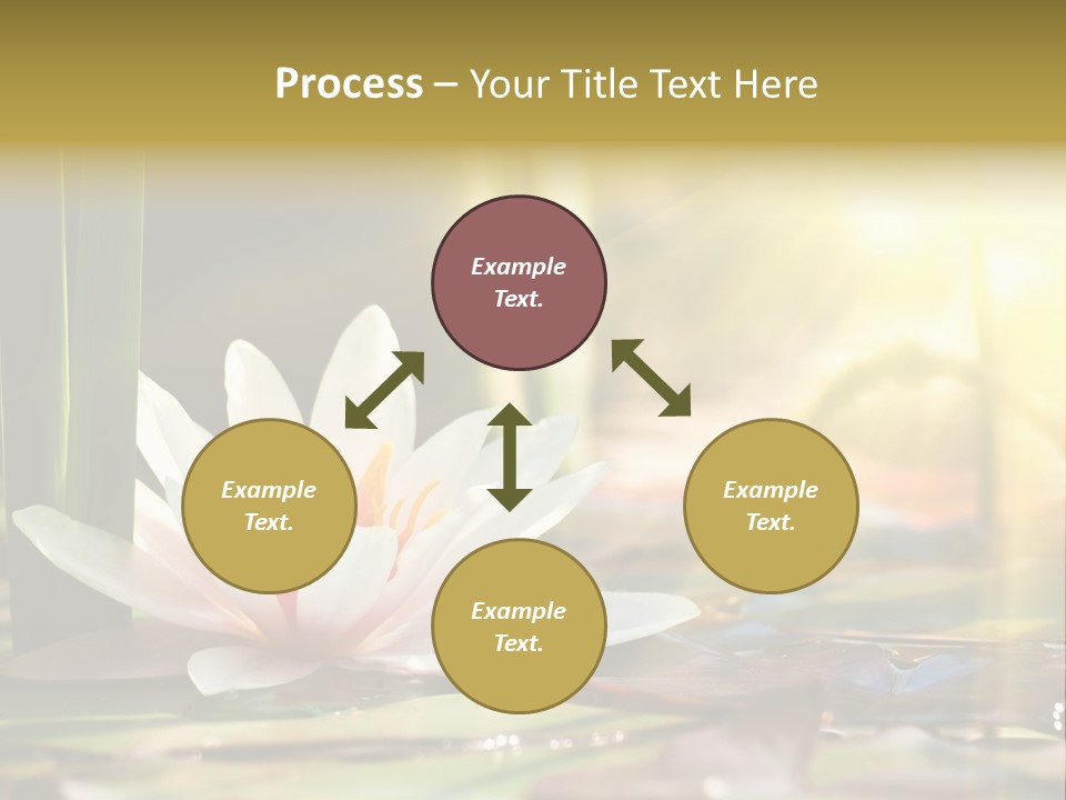 Lily Background Bloom PowerPoint Template