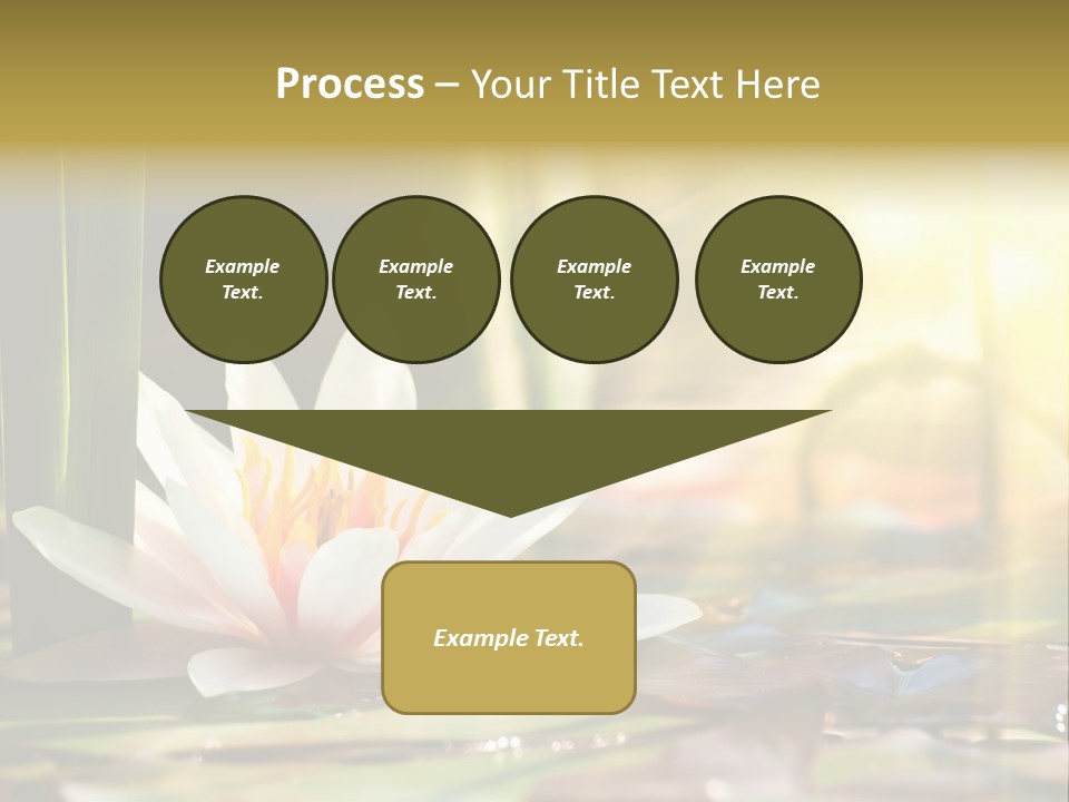 Lily Background Bloom PowerPoint Template
