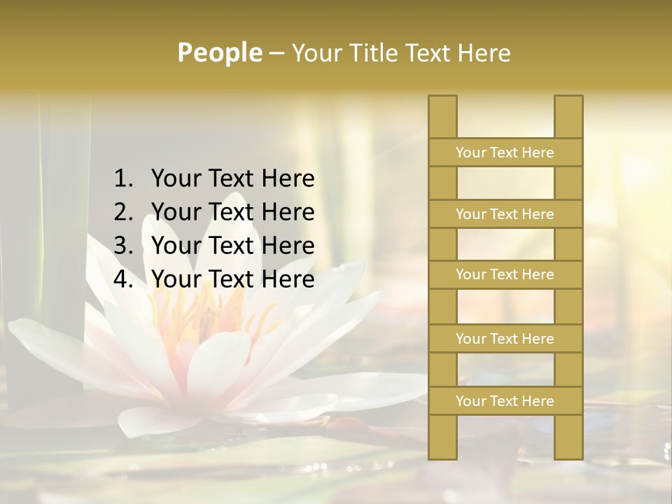 Lily Background Bloom PowerPoint Template