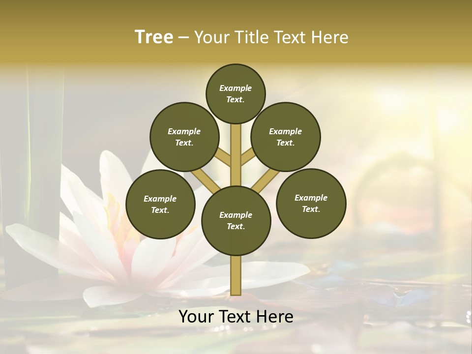 Lily Background Bloom PowerPoint Template