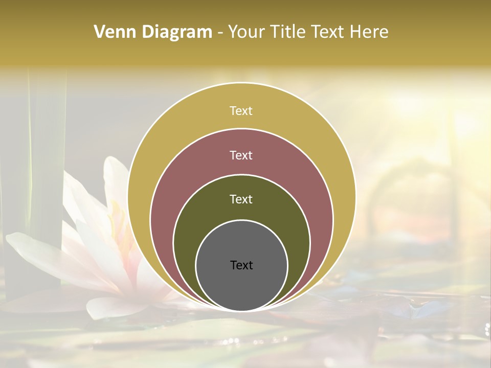 Lily Background Bloom PowerPoint Template