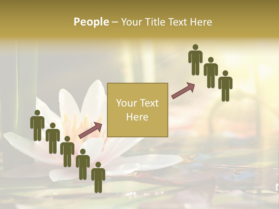 Lily Background Bloom PowerPoint Template