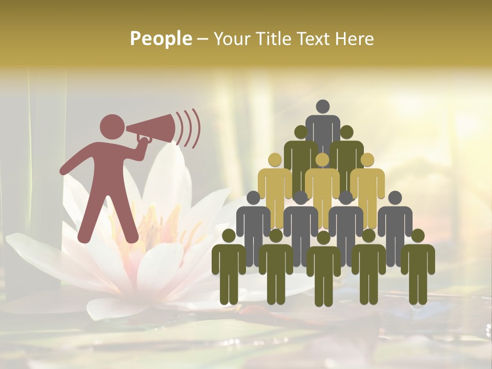 Lily Background Bloom PowerPoint Template