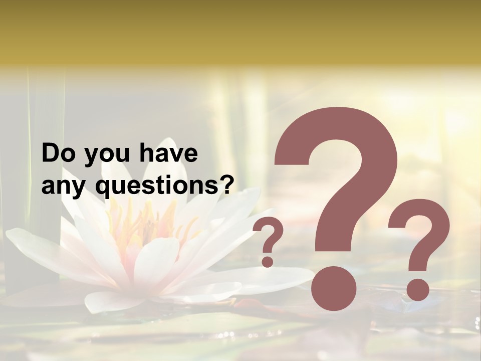 Lily Background Bloom PowerPoint Template