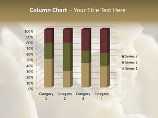 Plate Gourmet Vegetables PowerPoint Template