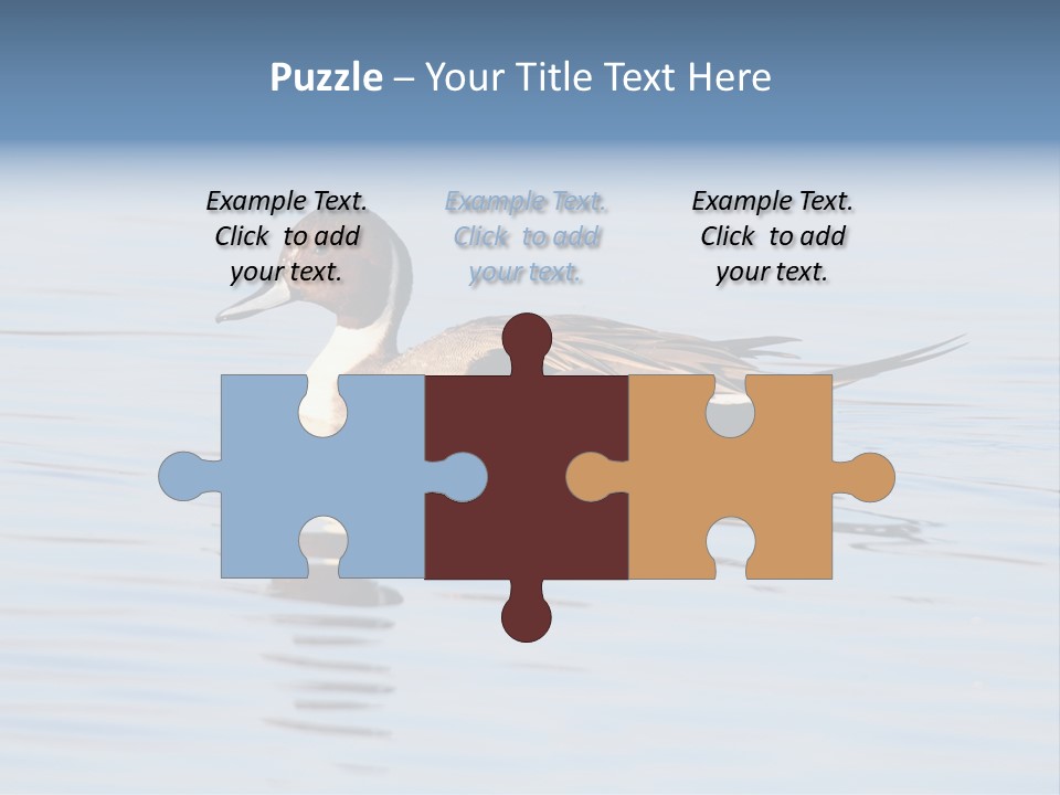 Avian Water Wildlife PowerPoint Template